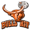 Salibandyseura Bulls Hit